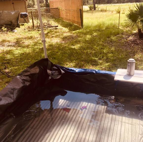 Meet your Posher, Bryan - Picture 1 of 1